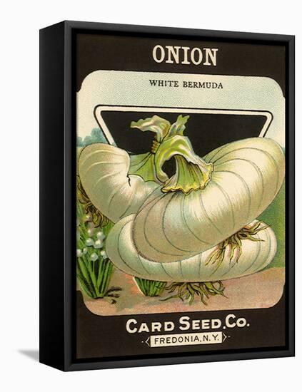 White Onion Seed Packet-null-Framed Stretched Canvas