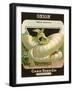 White Onion Seed Packet-null-Framed Giclee Print