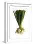 White Onion, Spring Onions-null-Framed Photographic Print