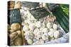 White Onions, 1999-Peter Breeden-Stretched Canvas