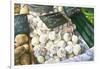 White Onions, 1999-Peter Breeden-Framed Giclee Print