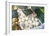 White Onions, 1999-Peter Breeden-Framed Giclee Print