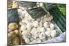 White Onions, 1999-Peter Breeden-Mounted Giclee Print