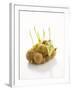 White Onions (With Shoots) in Net-Klaus Arras-Framed Photographic Print