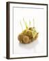 White Onions (With Shoots) in Net-Klaus Arras-Framed Photographic Print