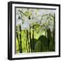 White Orchid Blooms-Anna Miller-Framed Photographic Print