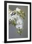 White orchid blooms-Anna Miller-Framed Photographic Print