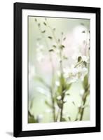 White Orchid I-Karyn Millet-Framed Photographic Print