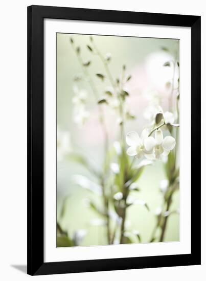 White Orchid I-Karyn Millet-Framed Photographic Print