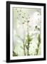 White Orchid I-Karyn Millet-Framed Photographic Print