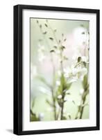 White Orchid I-Karyn Millet-Framed Photographic Print