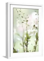 White Orchid I-Karyn Millet-Framed Photographic Print