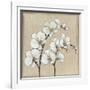 White Orchid II-Tim O'toole-Framed Art Print