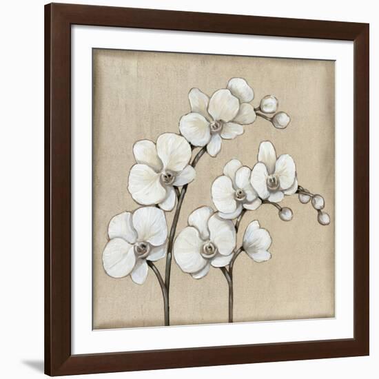 White Orchid II-Tim O'toole-Framed Art Print