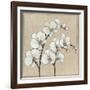 White Orchid II-Tim O'toole-Framed Art Print