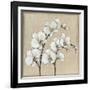 White Orchid II-Tim O'toole-Framed Art Print