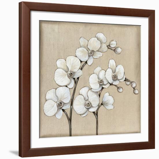 White Orchid II-Tim O'toole-Framed Art Print