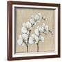 White Orchid II-Tim O'toole-Framed Art Print