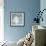 White Orchid on Blue 01-Tom Quartermaine-Framed Giclee Print displayed on a wall