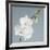 White Orchid on Blue 01-Tom Quartermaine-Framed Giclee Print