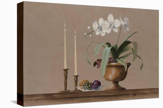 White Orchid Still Life-Wilbur-Stretched Canvas