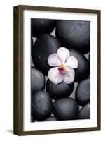 White Orchid with Therapy Stones-crystalfoto-Framed Photographic Print