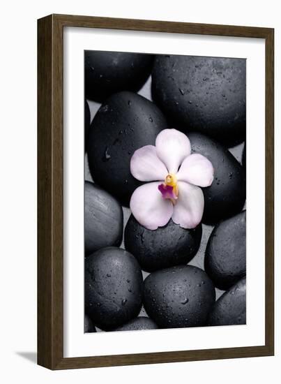 White Orchid with Therapy Stones-crystalfoto-Framed Photographic Print