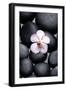 White Orchid with Therapy Stones-crystalfoto-Framed Photographic Print