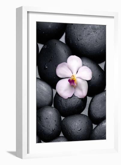 White Orchid with Therapy Stones-crystalfoto-Framed Photographic Print