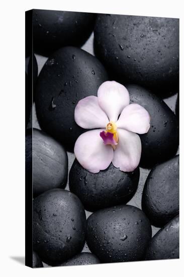 White Orchid with Therapy Stones-crystalfoto-Stretched Canvas