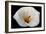 White Orchid-null-Framed Photo