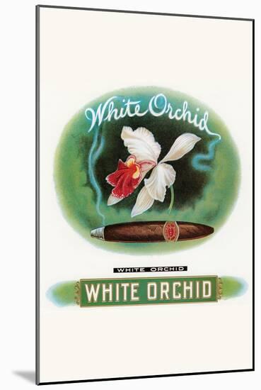 White Orchid-null-Mounted Art Print