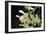 White Orchids II-Brian Moore-Framed Photographic Print