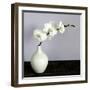 White Orchids in a White Vase-Tom Quartermaine-Framed Giclee Print