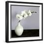 White Orchids in a White Vase-Tom Quartermaine-Framed Giclee Print