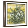 White Orchids-Cai Xiaoli-Framed Giclee Print