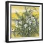 White Orchids-Cai Xiaoli-Framed Giclee Print