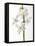 White Orchids-null-Framed Stretched Canvas