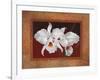 White Orchids-Vivien Rhyan-Framed Art Print