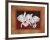White Orchids-Vivien Rhyan-Framed Art Print
