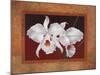 White Orchids-Vivien Rhyan-Mounted Art Print