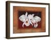 White Orchids-Vivien Rhyan-Framed Premium Giclee Print