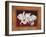 White Orchids-Vivien Rhyan-Framed Premium Giclee Print