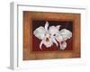 White Orchids-Vivien Rhyan-Framed Premium Giclee Print