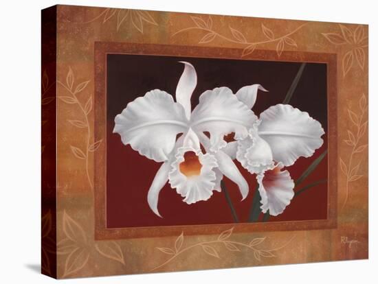 White Orchids-Vivien Rhyan-Stretched Canvas