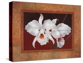 White Orchids-Vivien Rhyan-Stretched Canvas