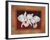 White Orchids-Vivien Rhyan-Framed Art Print