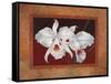 White Orchids-Vivien Rhyan-Framed Stretched Canvas