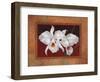 White Orchids-Vivien Rhyan-Framed Art Print