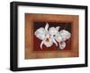 White Orchids-Vivien Rhyan-Framed Art Print